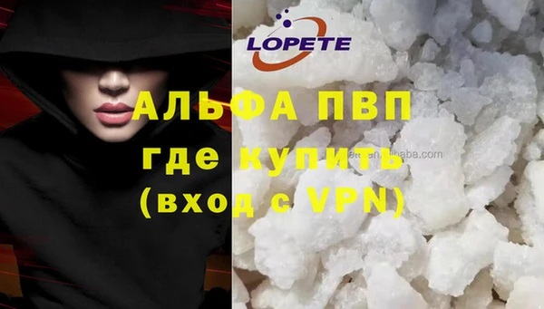 трава Аркадак