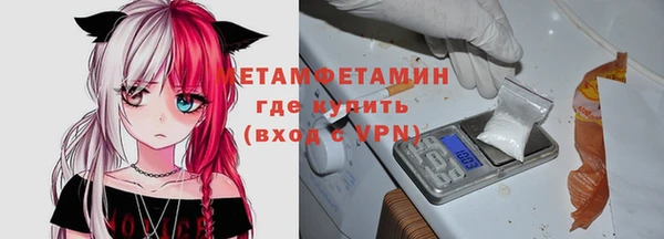 трава Аркадак