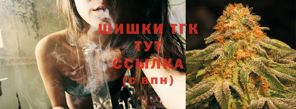 трава Аркадак
