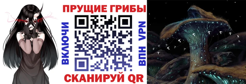 Псилоцибиновые грибы Magic Shrooms  где купить   Никольск 